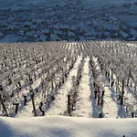 Un Petit Coin D'alsace *
