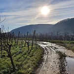 Casa de Férias Un Petit Coin D'alsace