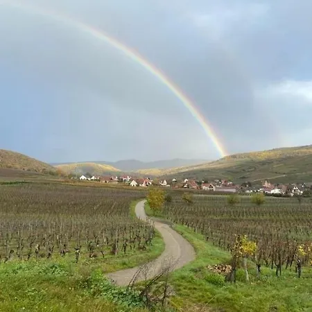 Ferienhaus Un Petit Coin D'alsace