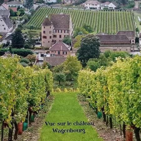 Vakantiehuis Un Petit Coin D'alsace