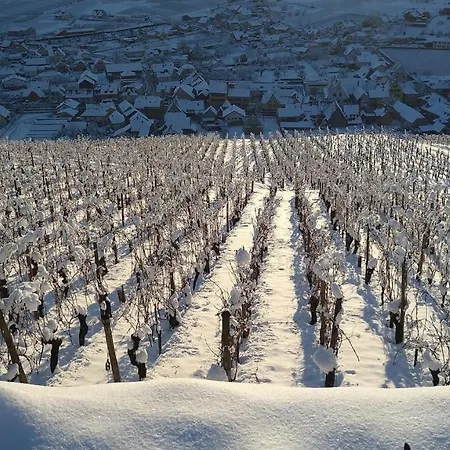 Un Petit Coin D'alsace *