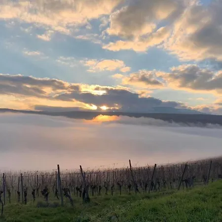 Un Petit Coin D'alsace Holiday home