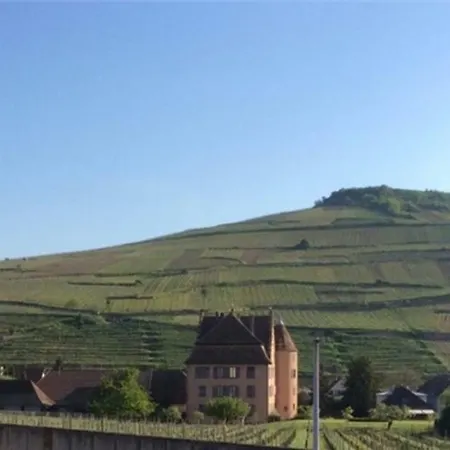 Ferienhaus Un Petit Coin D'alsace *