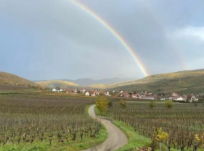 Vakantiehuis Un Petit Coin D'alsace