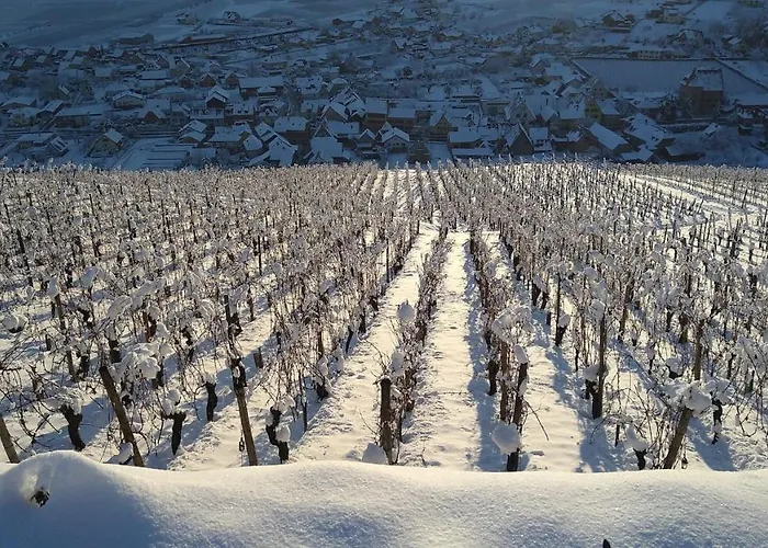 Un Petit Coin D'alsace *
