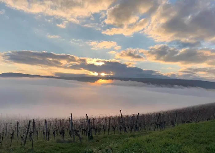 Un Petit Coin D'alsace Vakantiehuis