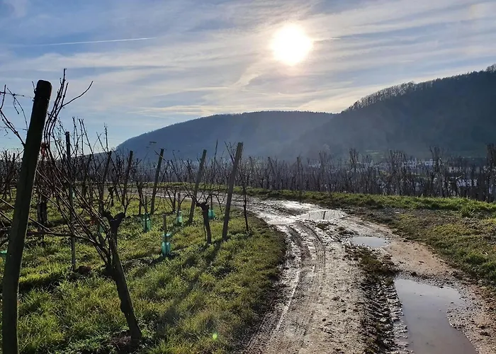Vakantiehuis Un Petit Coin D'alsace