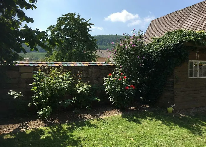 Un Petit Coin D'alsace * Soultzmatt